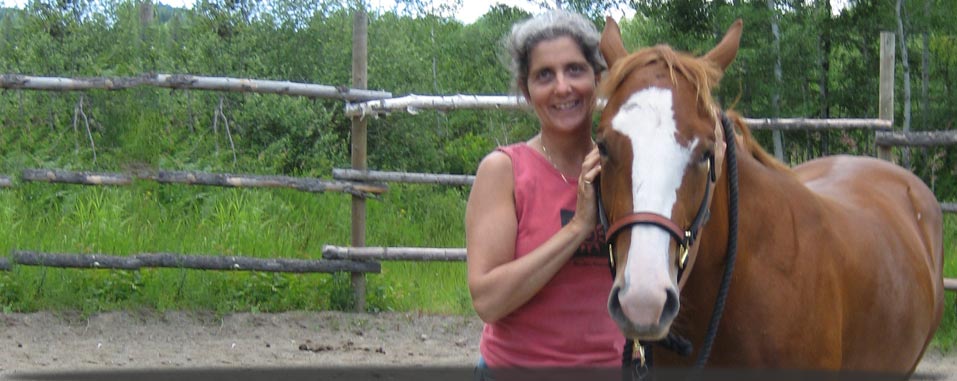 Equine Partners in Healing